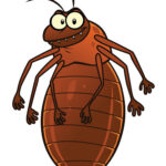 постельные клопы