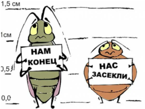 травля клопов в квартире